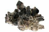 Smoky Quartz Crystal Cluster ( lbs) - Brazil #120467-3